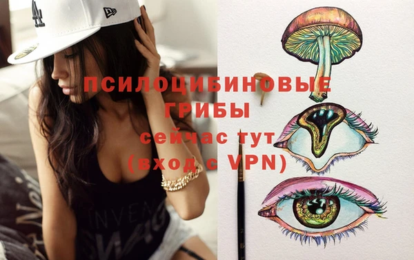 винт Алзамай