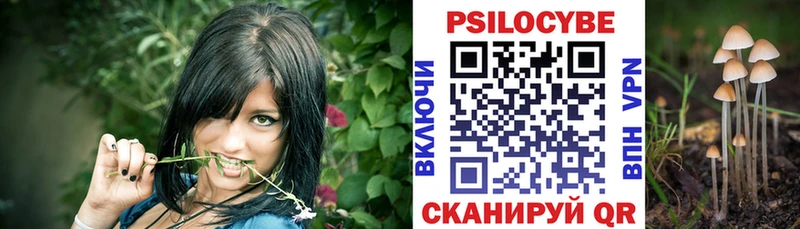 Галлюциногенные грибы Psilocybe  ссылка на мегу ссылка  Кирсанов  купить наркотик 