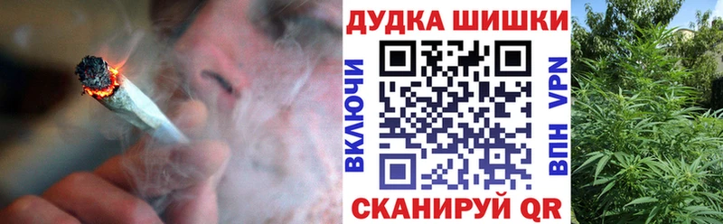 магазин продажи наркотиков  Кирсанов  Конопля SATIVA & INDICA 